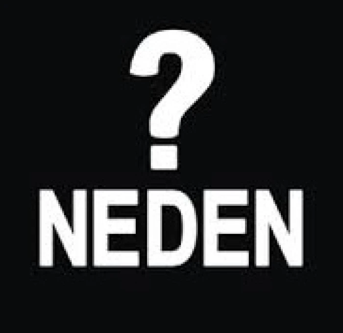 Neden