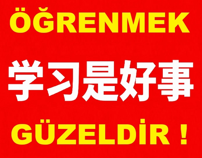 yeni diller